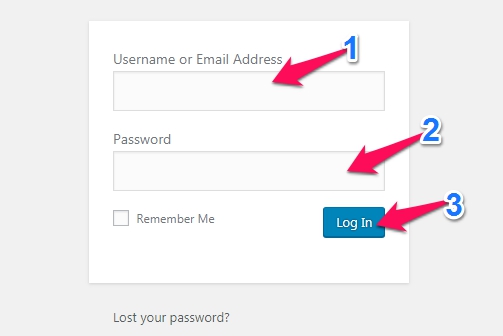 wordPress admin login