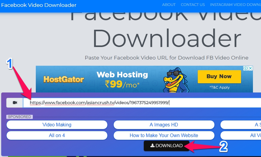 Paste Facebook Video URL and click on download