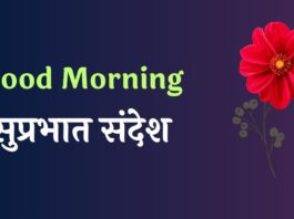 Good Morning Shayari in Hindi